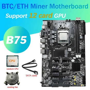 QUENTE-12 Cartões B75 BTC Mineração placa-Mãe+CPU+Ventoinha do CPU+Cabo SATA 12 PCI-E Para USB3.0 Ranhura LGA1155 DDR3 MSATA ETH Bitcoin Mineiro